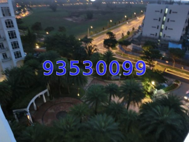 Casablanca (D25), Condominium #10665012
